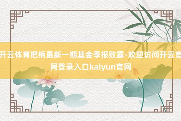 开云体育把柄最新一期基金季报败露-欢迎访问开云官网登录入口kaiyun官网