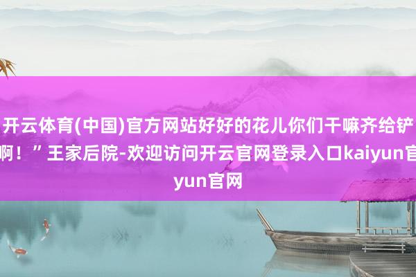 开云体育(中国)官方网站好好的花儿你们干嘛齐给铲了啊！”王家后院-欢迎访问开云官网登录入口kaiyun官网